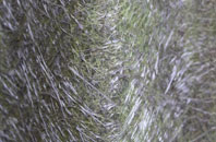 Coton Park fibreglass roof work